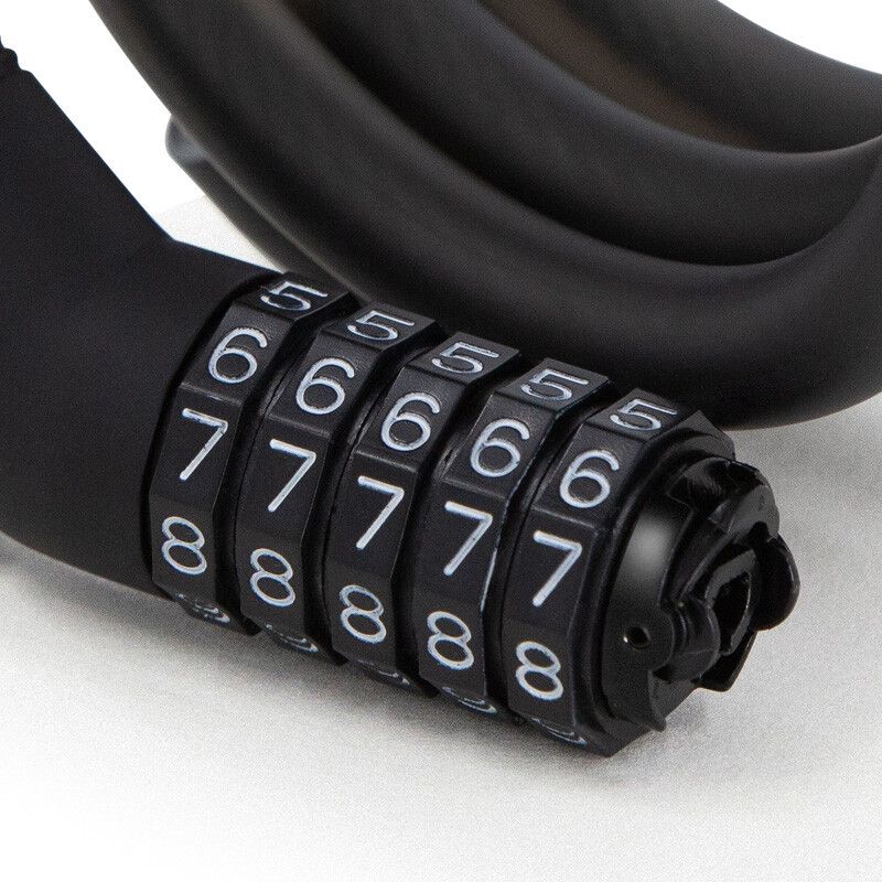 Ninebot Password Lock