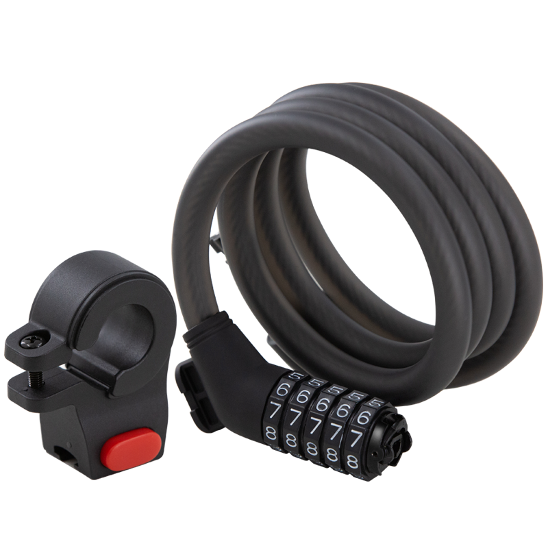 Segway-Ninebot Password Lock