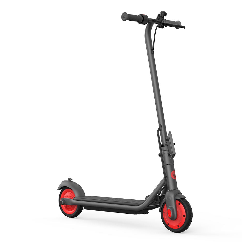 NINEBOT ZING C20