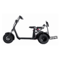 FatWheel Cruiser Trike