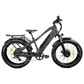 Recon Power Bikes - Stryker All-Terrain EBike