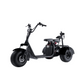FatWheel Cruiser Trike