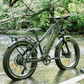 Recon Power Bikes - Stryker All-Terrain EBike