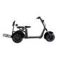 FatWheel Cruiser Trike