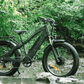 Recon Power Bikes - Stryker All-Terrain EBike