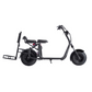FatWheel Cruiser X (Dual Motor)