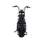 FatWheel Cruiser X (Dual Motor)