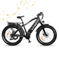 Recon Power Bikes - Ranger All-Terrain EBike